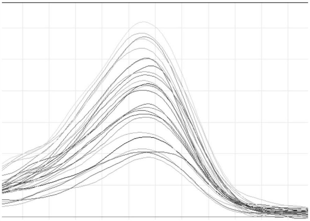 JUP gene mutant and application thereof