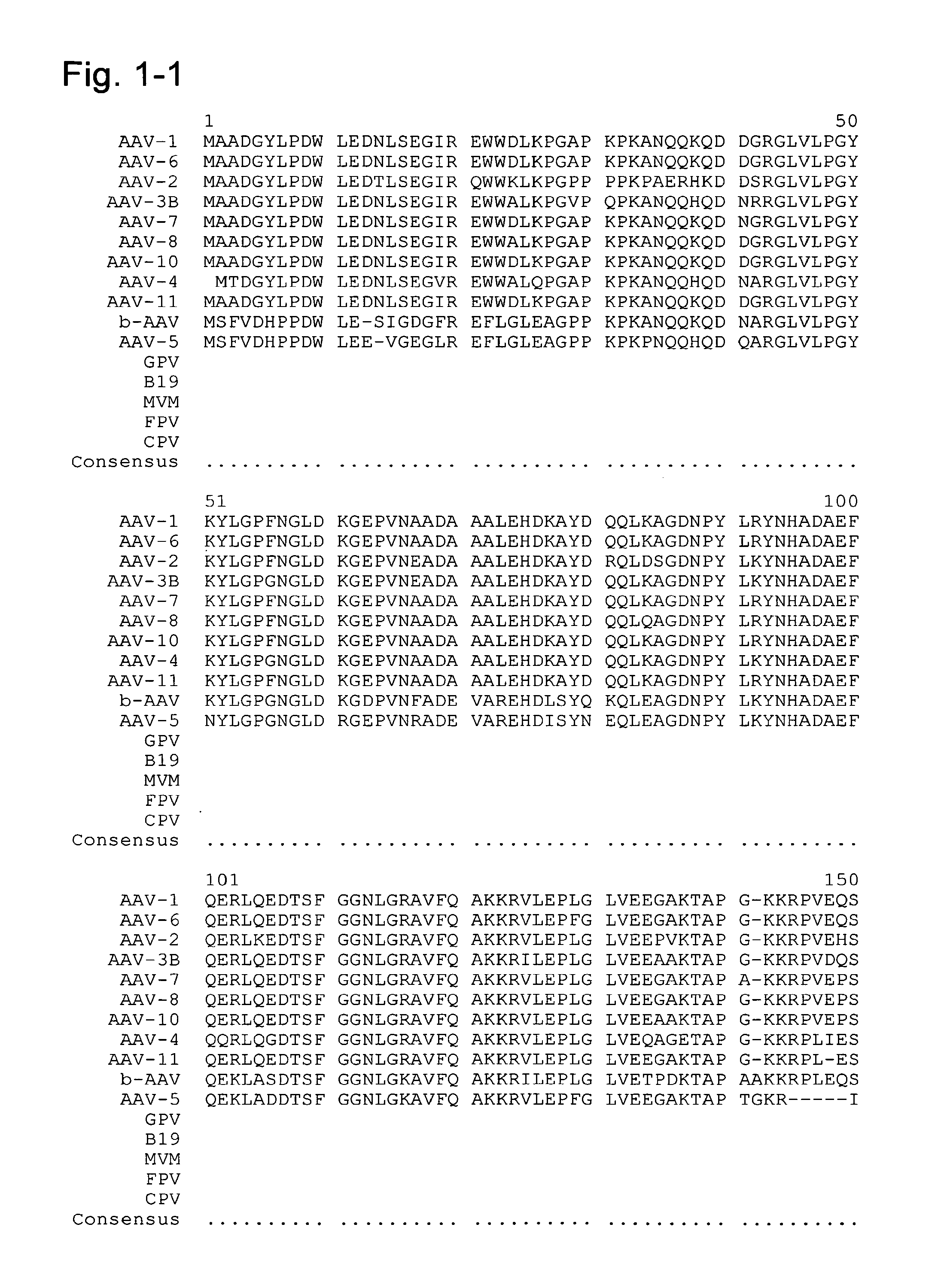 Mutated parvovirus structural proteins as vaccines