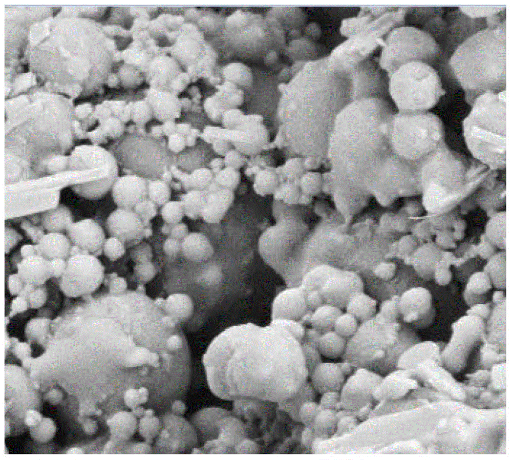 Preparation method of starch nanometer microspheres based on ionic liquid-type surfactant microemulsion system