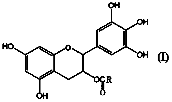3-O-catechin higher fatty acid ester and preparation method thereof