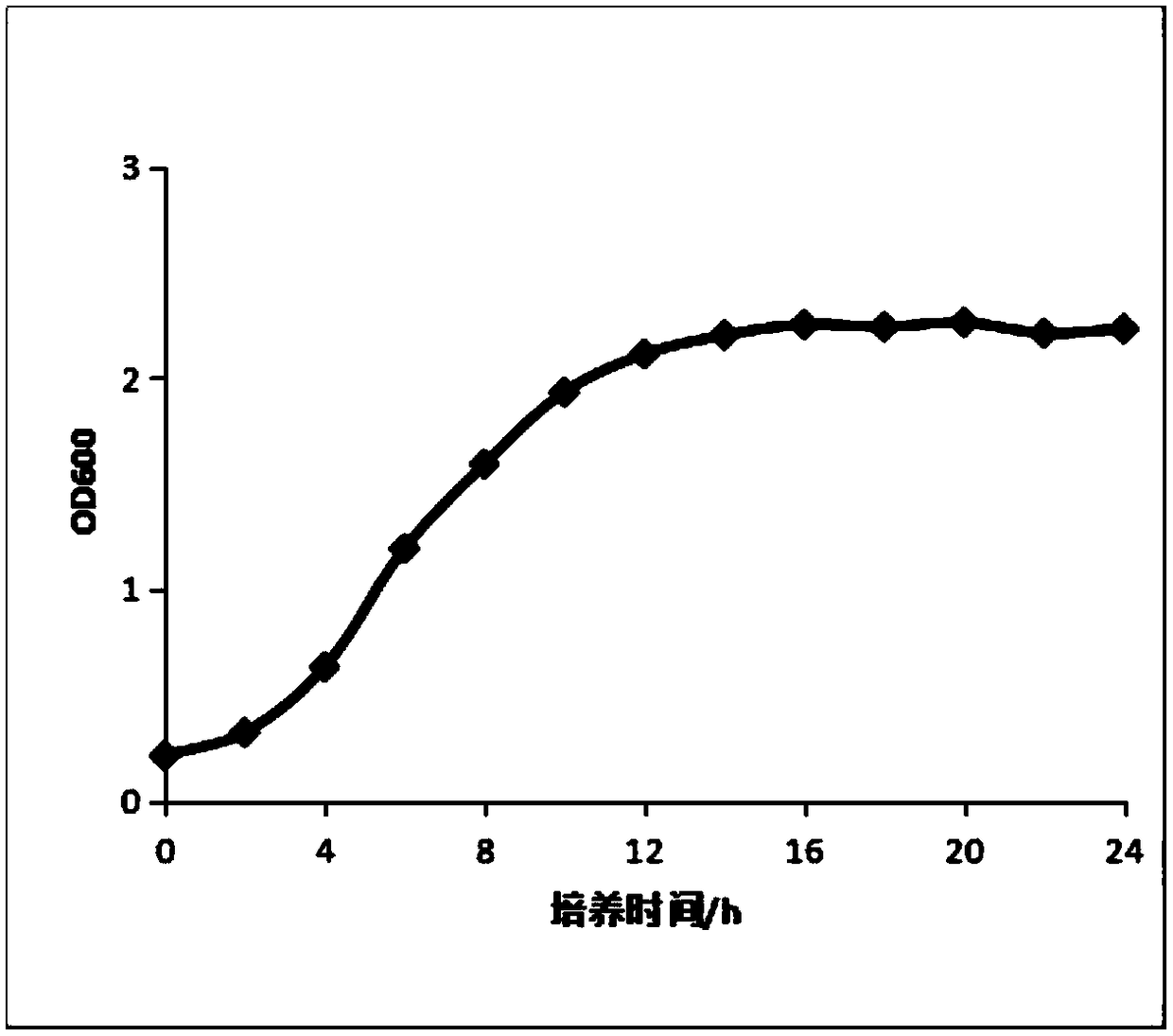 Preparation method of pea peptide with prebiotics effect and application of pea peptide to food