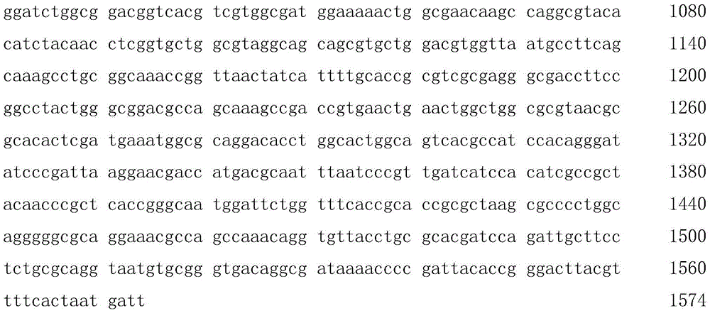 A strain of Escherichia coli and a cow mastitis vaccine obtained by inactivating the strain