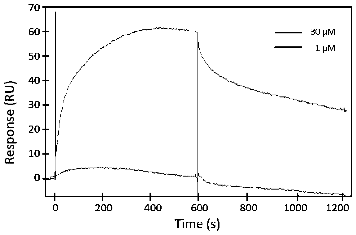 Application of anti-BASIGIN humanized antibody in preparation of drugs for treating COVID-19