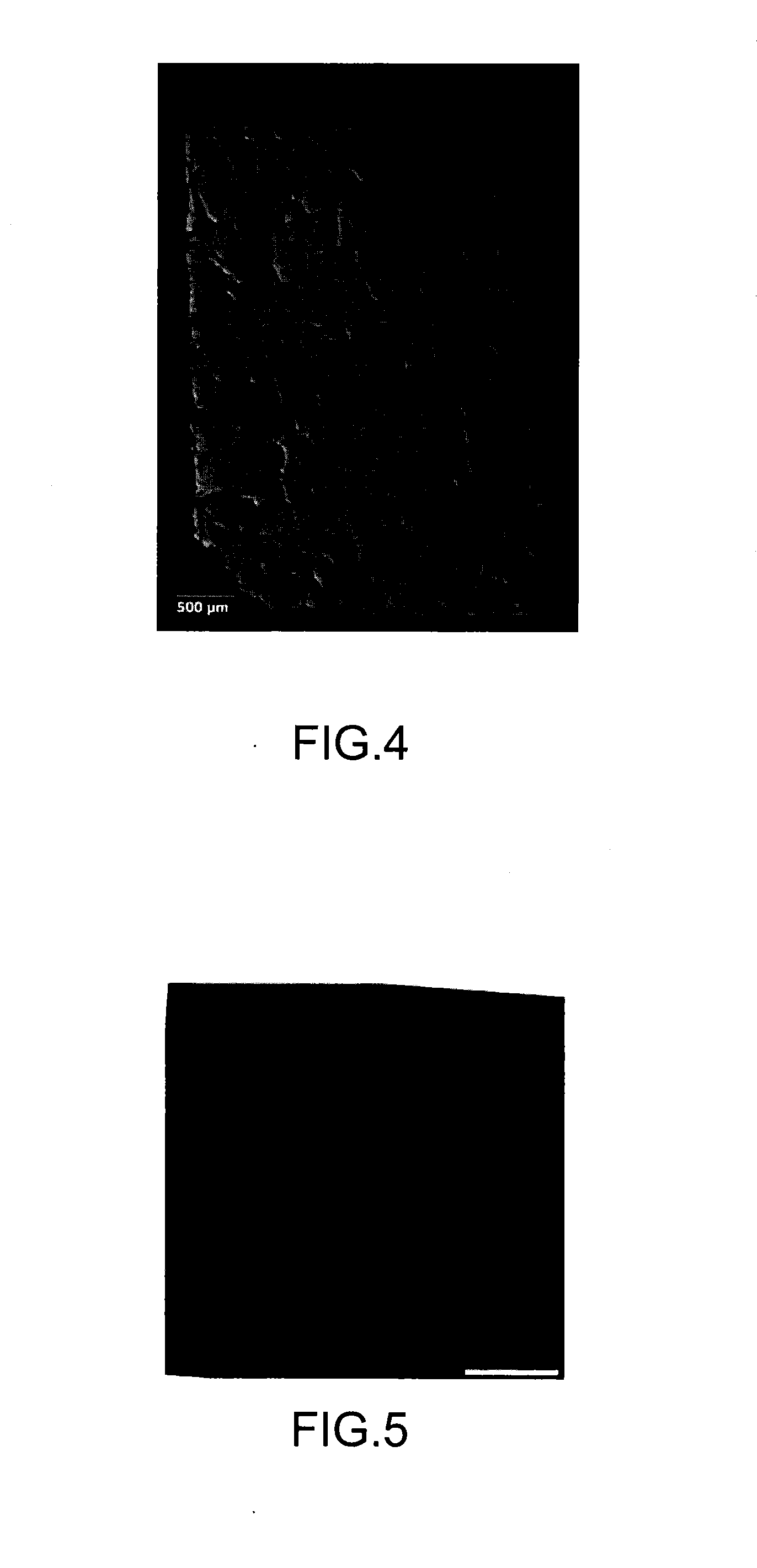 Method for preparing a porous nuclear fuel