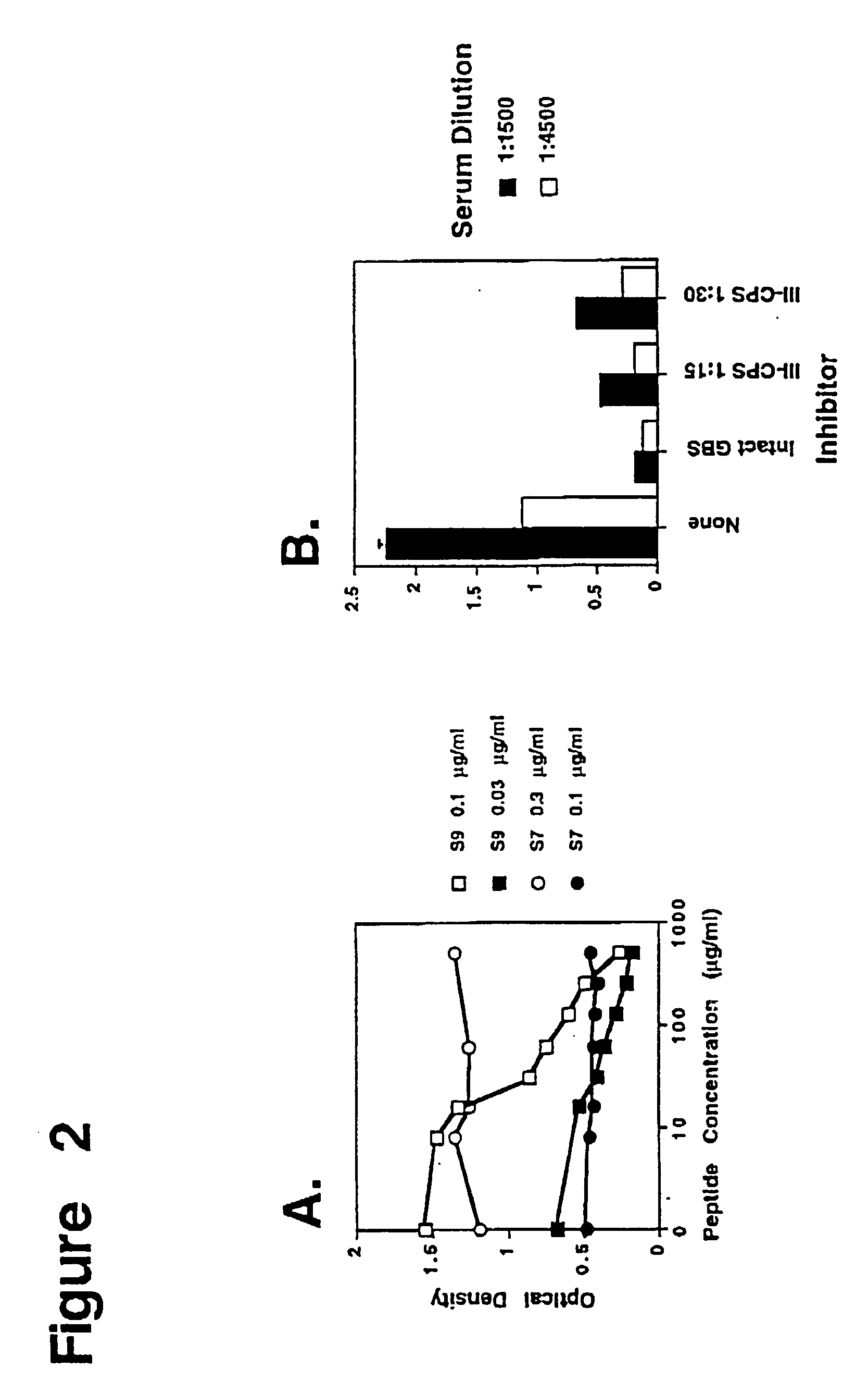 Method of isolating a peptide which immunologically mimics microbial carbohydrates including group B streptococcal carbohydrates and the use thereof in a vaccine