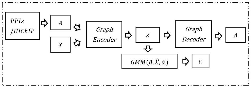 Depth unsupervised single cell clustering method based on Gaussian mixture graph variational auto-encoder