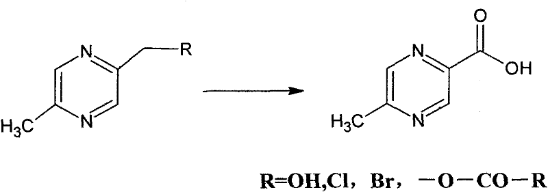 Method for synthesizing 5-methylpyrazine-2-carboxylic acid