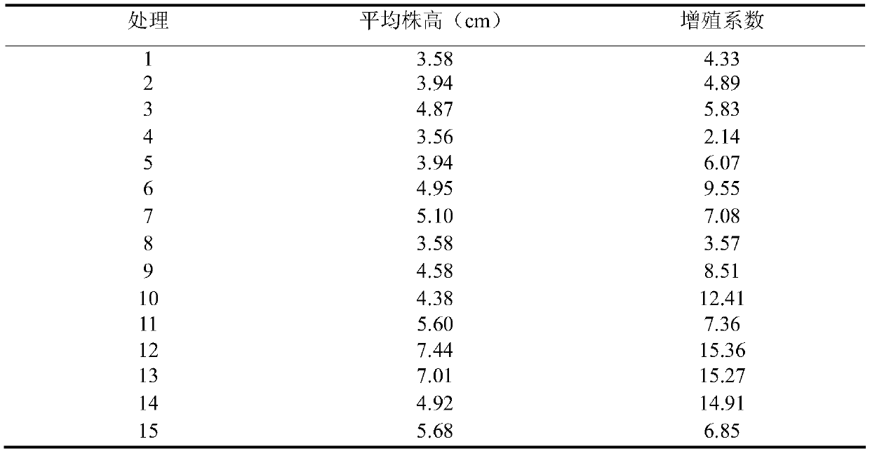 Florists chrysanthemum flower tissue culture method and tissue culture medium