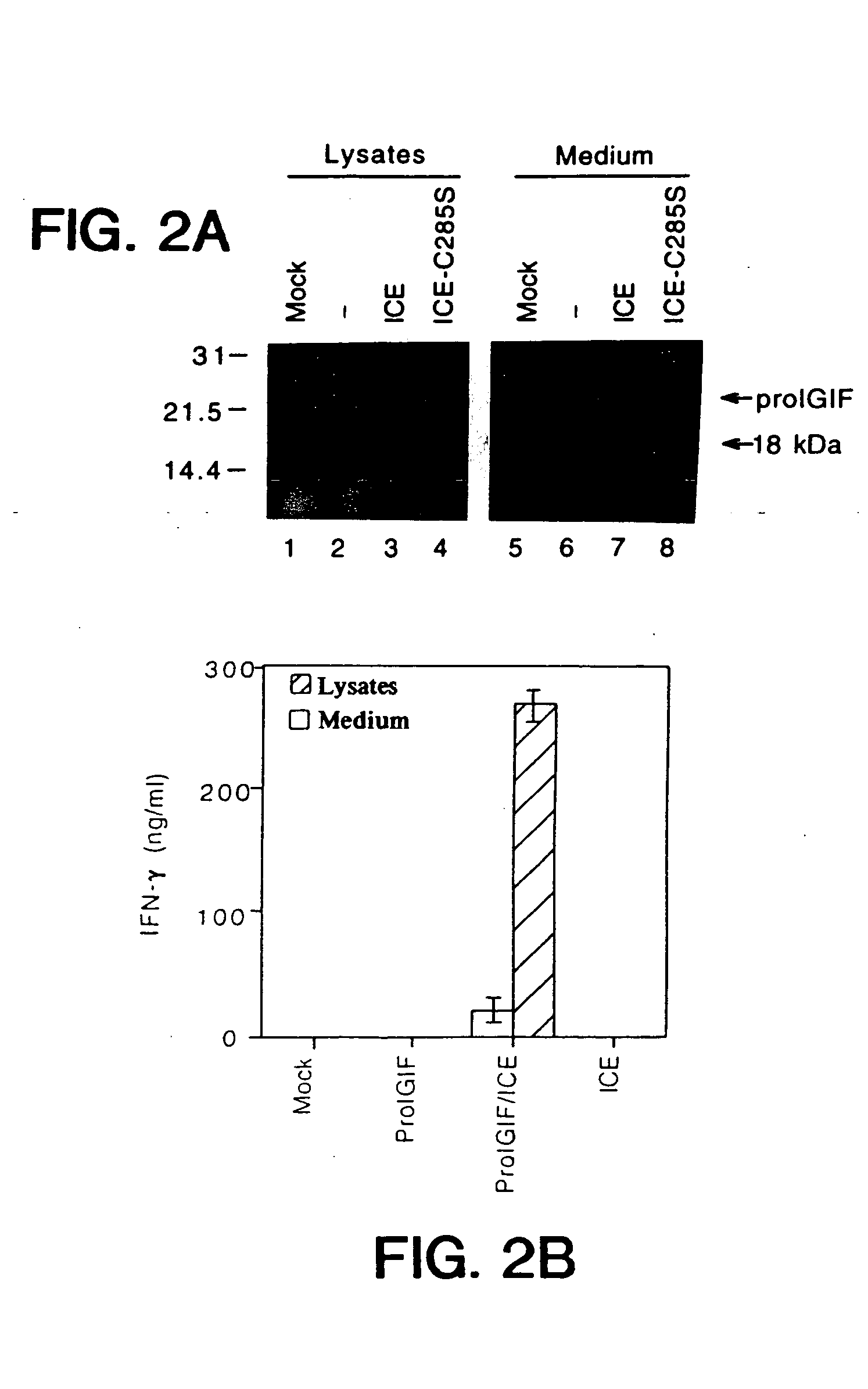 Inhibitors of interleukin-1beta converting enzyme