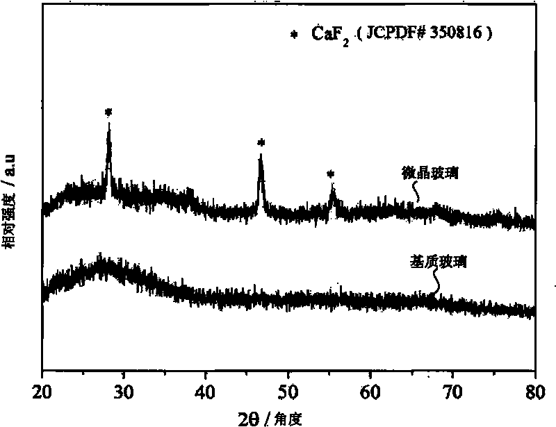 Rare earth iron-doped transparent oxygen fluorine germanate microcrystalline glass and preparation method thereof