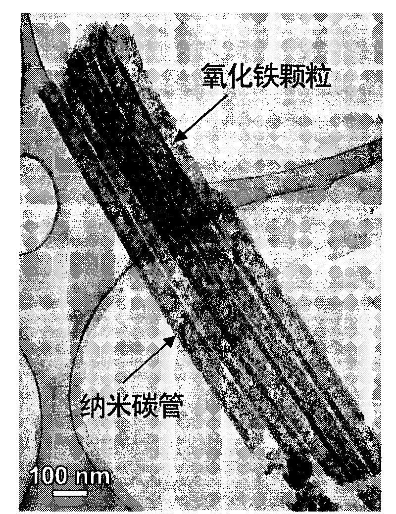 Method for selectively filling ferric oxide particles in hollow cavity of carbon nanotube