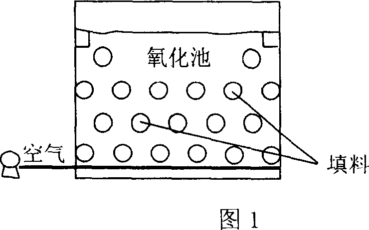 Film coating method of filling material in biological contact oxidation pond