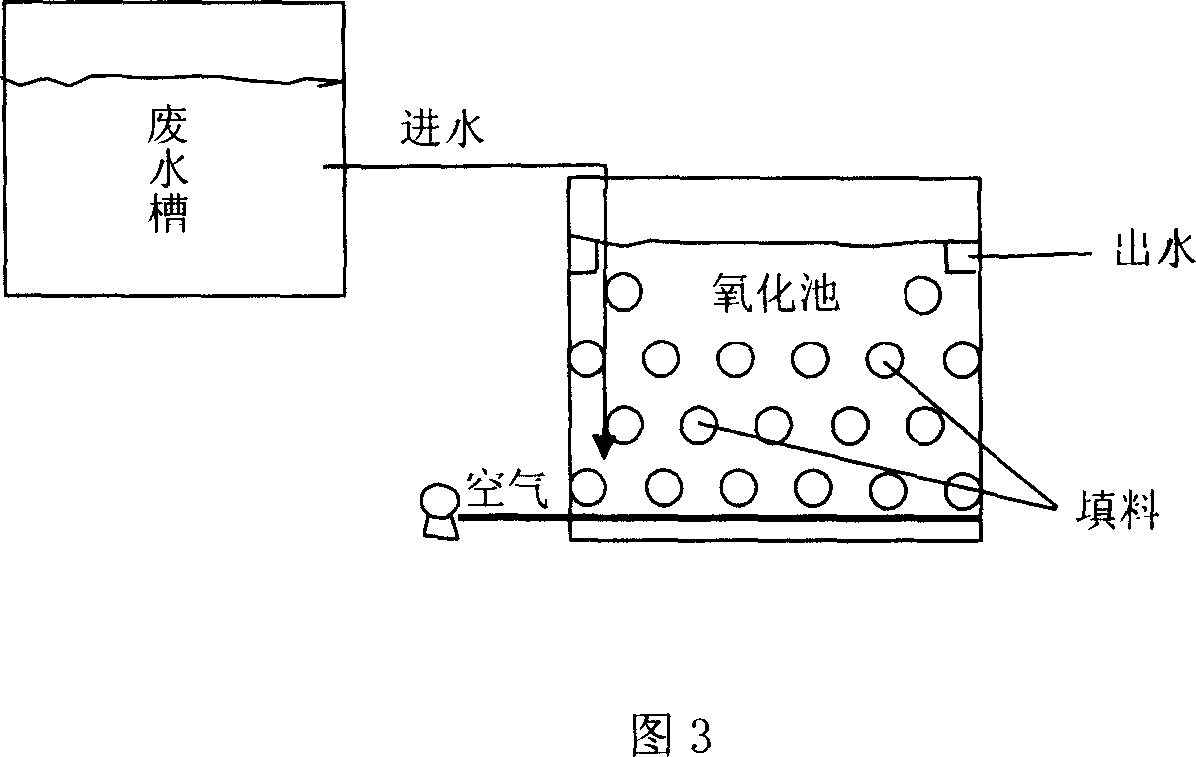 Film coating method of filling material in biological contact oxidation pond