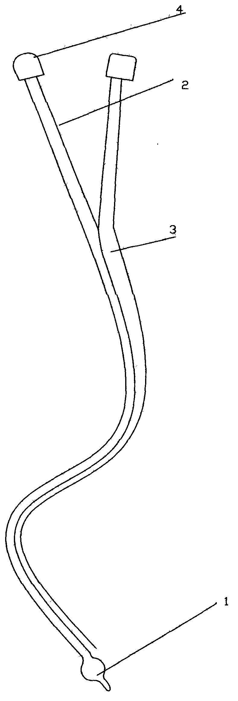 Balloon type double-cavity duodenum or jejunum nutrient canal