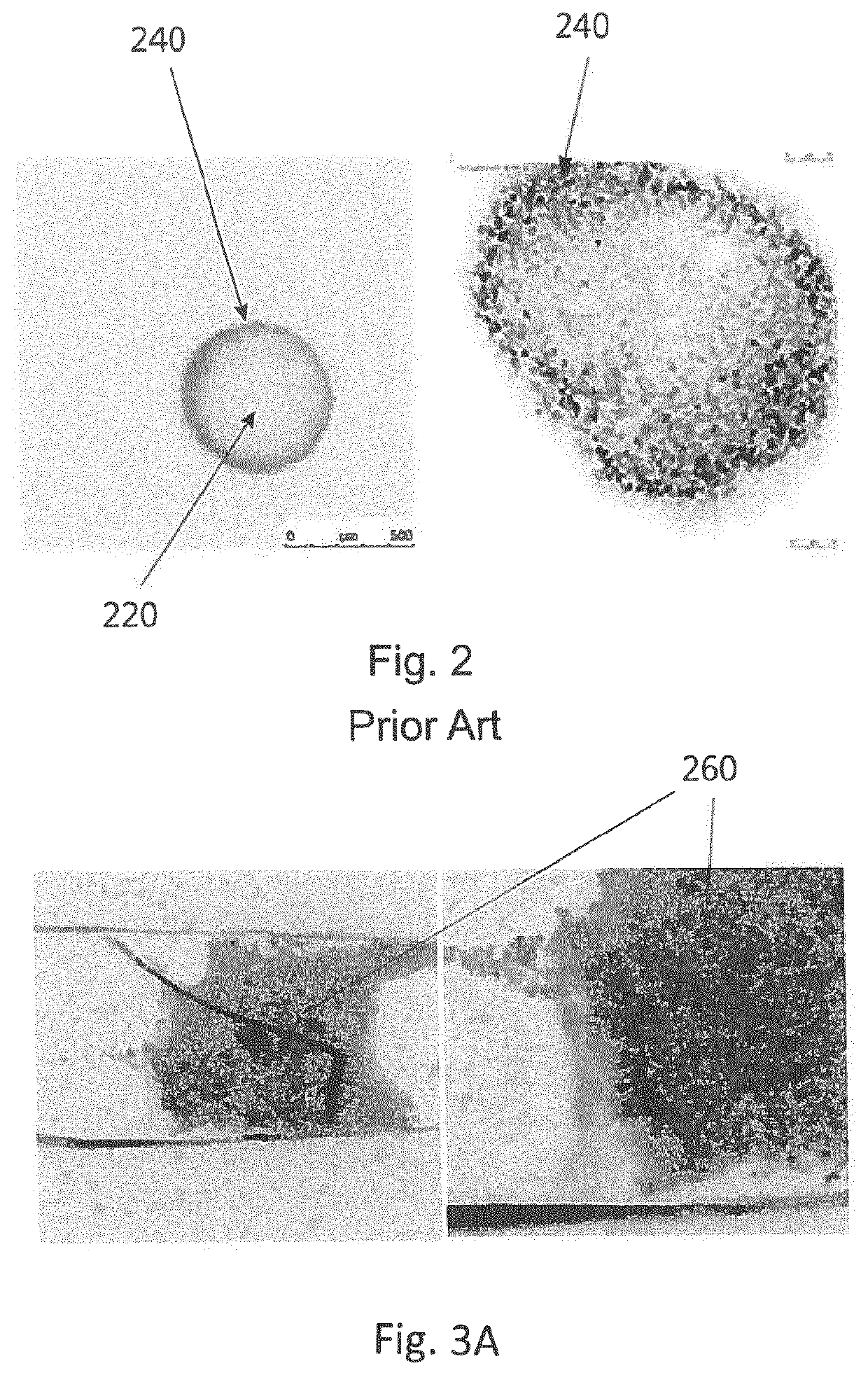 Device for staining 3D biopsy tissue
