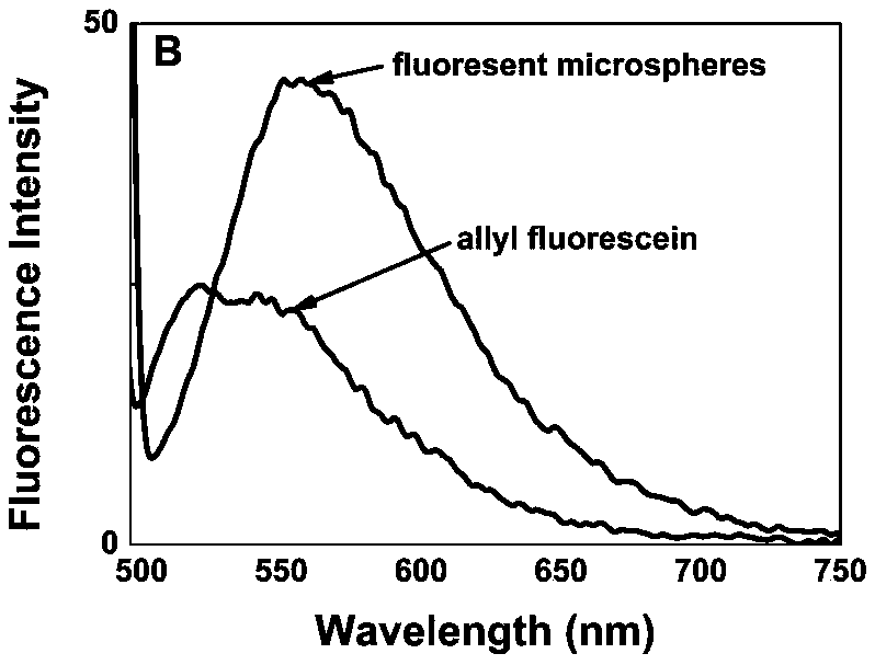 Preparing method for carboxylation porous crosslinked polystyrene copolymerized fluorescent microspheres