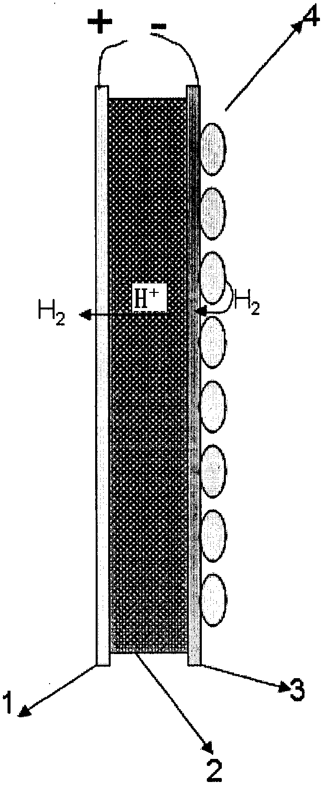 A hydrogen or oxygen electrochemical pumping catalytic membrane reactor and its applications