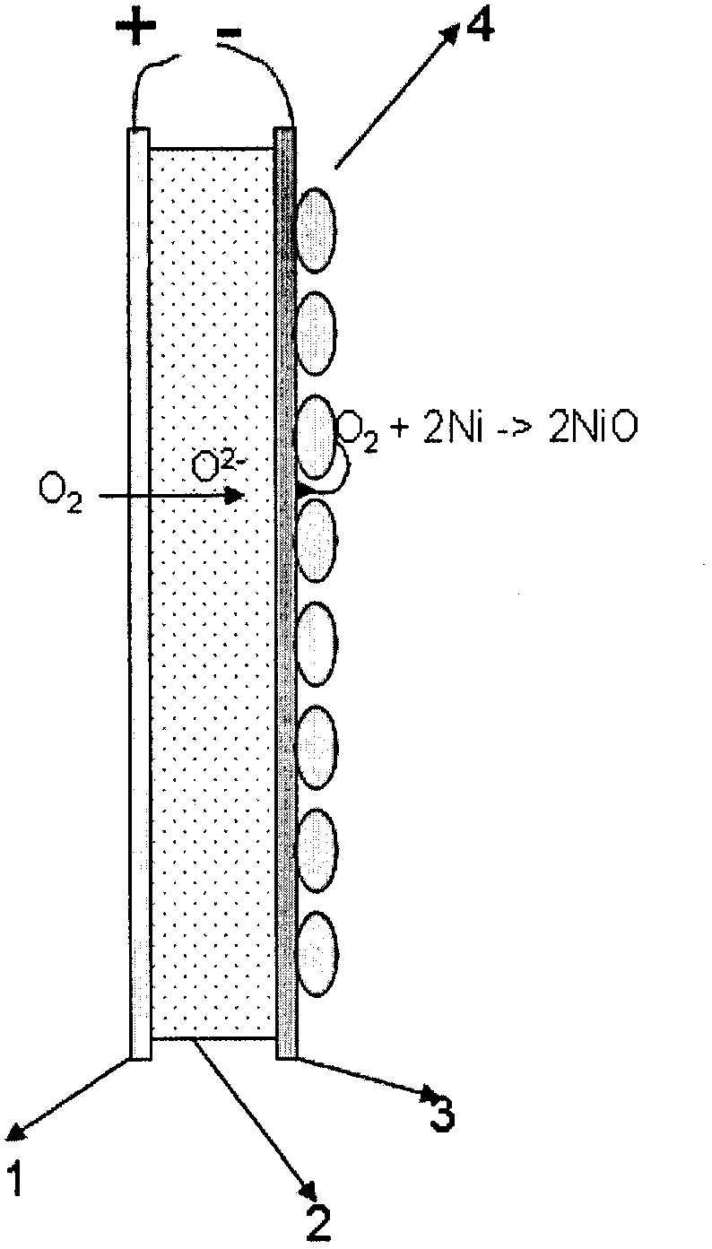 A hydrogen or oxygen electrochemical pumping catalytic membrane reactor and its applications