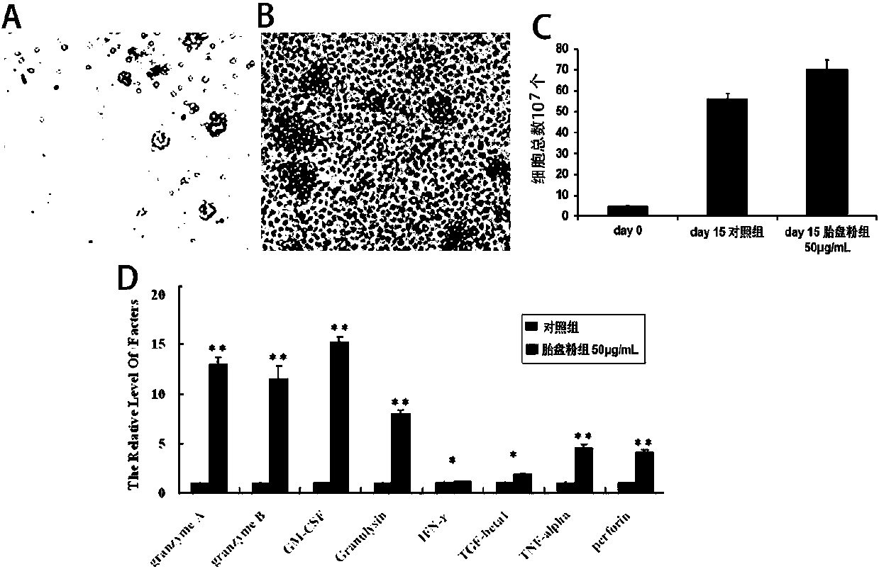 A method for preparing freeze-dried active placenta powder by water-soluble enzymatic hydrolysis