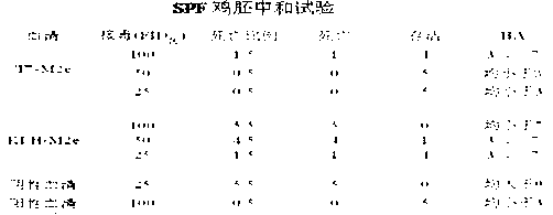 Recombinant phage vaccine for avian influenza A and construction method for recombinant phage vaccine