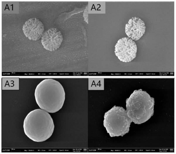 A high-sensitivity immunoassay for C-reactive protein based on a two-color quantum dot ratiometric fluorescent probe