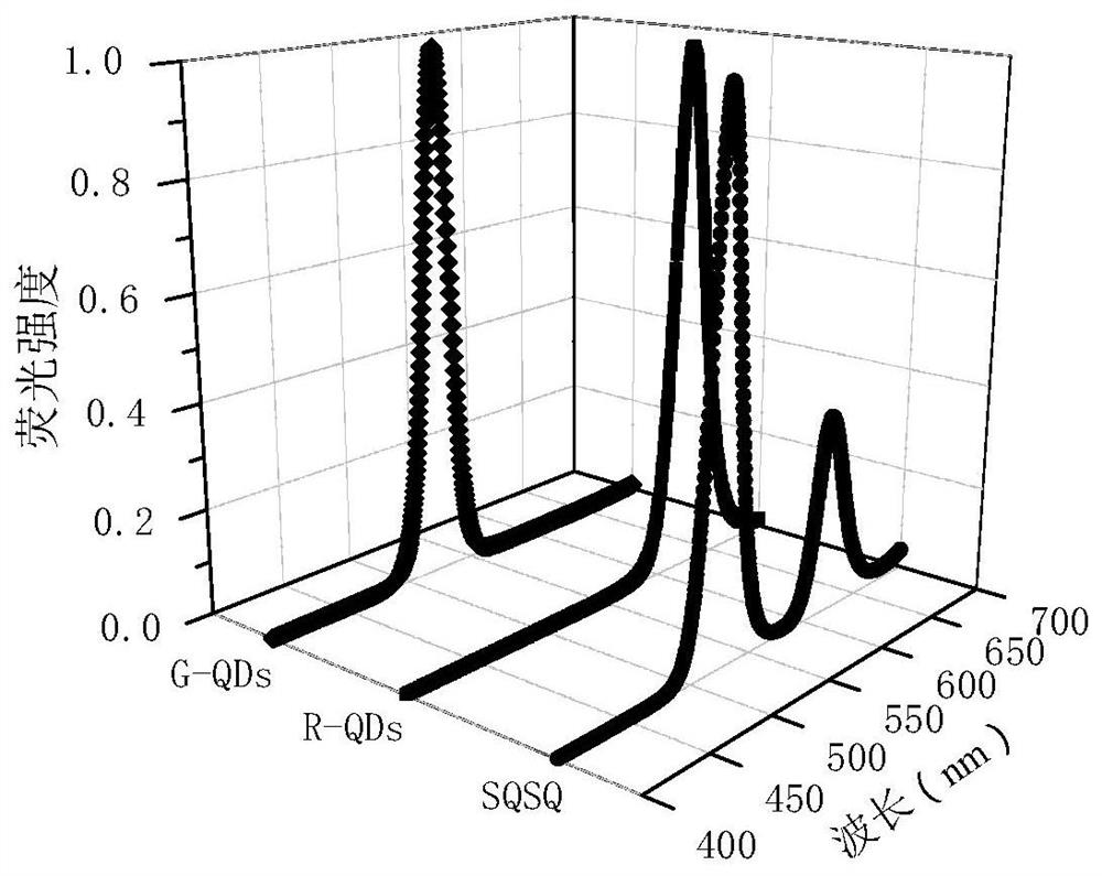 A high-sensitivity immunoassay for C-reactive protein based on a two-color quantum dot ratiometric fluorescent probe