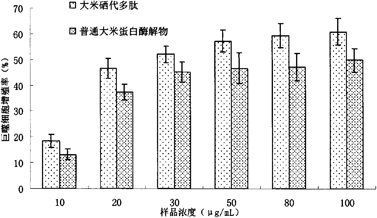 Preparation method of rice enzymolysis selenium polypeptides with immune activity