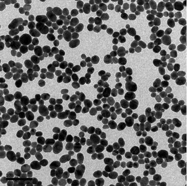 Preparation method of immune colloidal gold particles capable of being used for rapid diagnosis