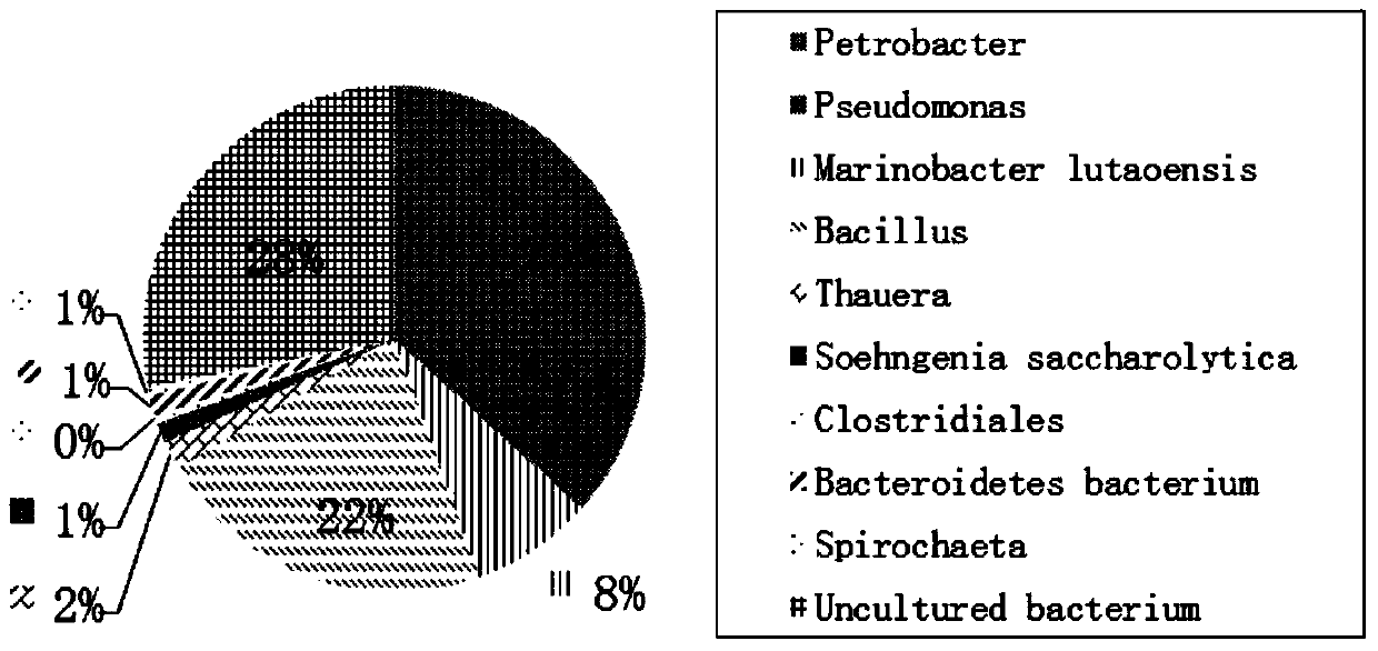Method for activating oil reservoir indigenous microorganisms to produce object surface active agents