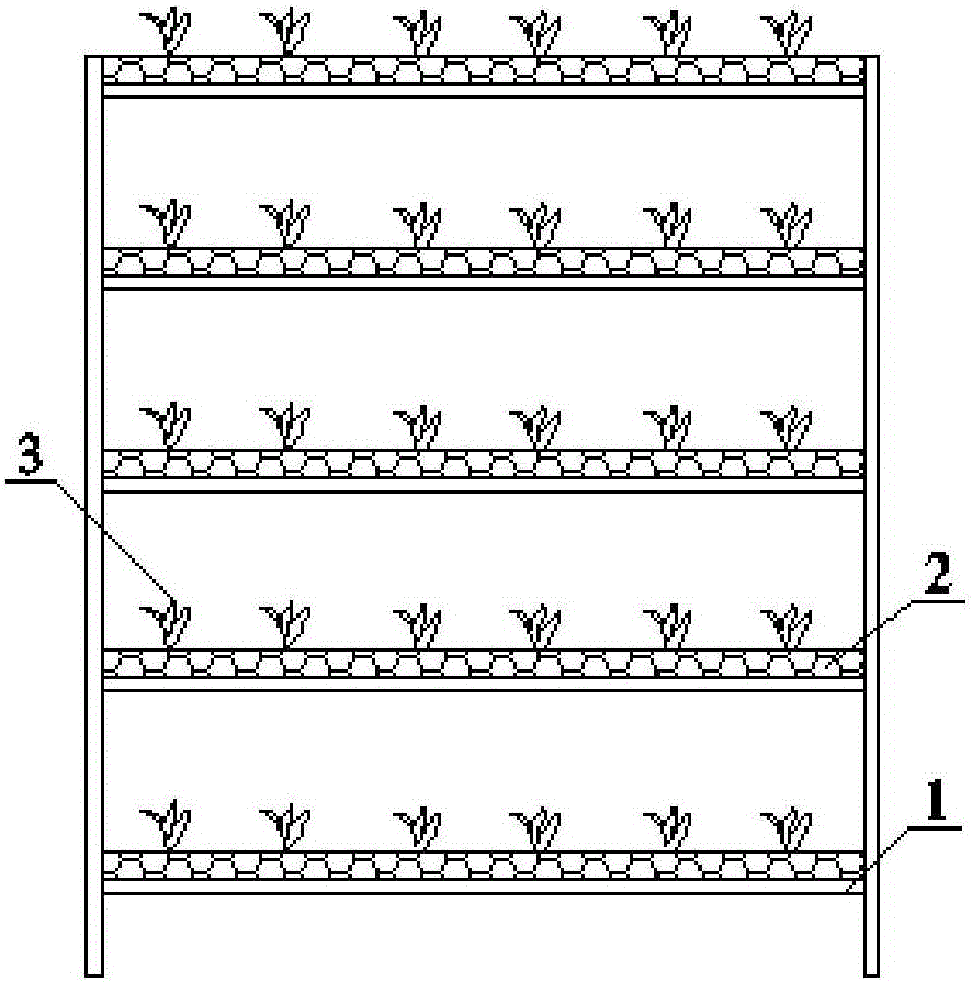 Method for planting dendrobium candidum by adopting multi-layered three-dimensional cultivating rack