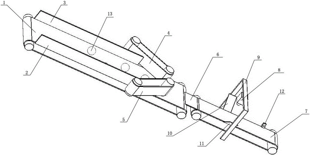 Automatic selection device of citrus peeling equipment