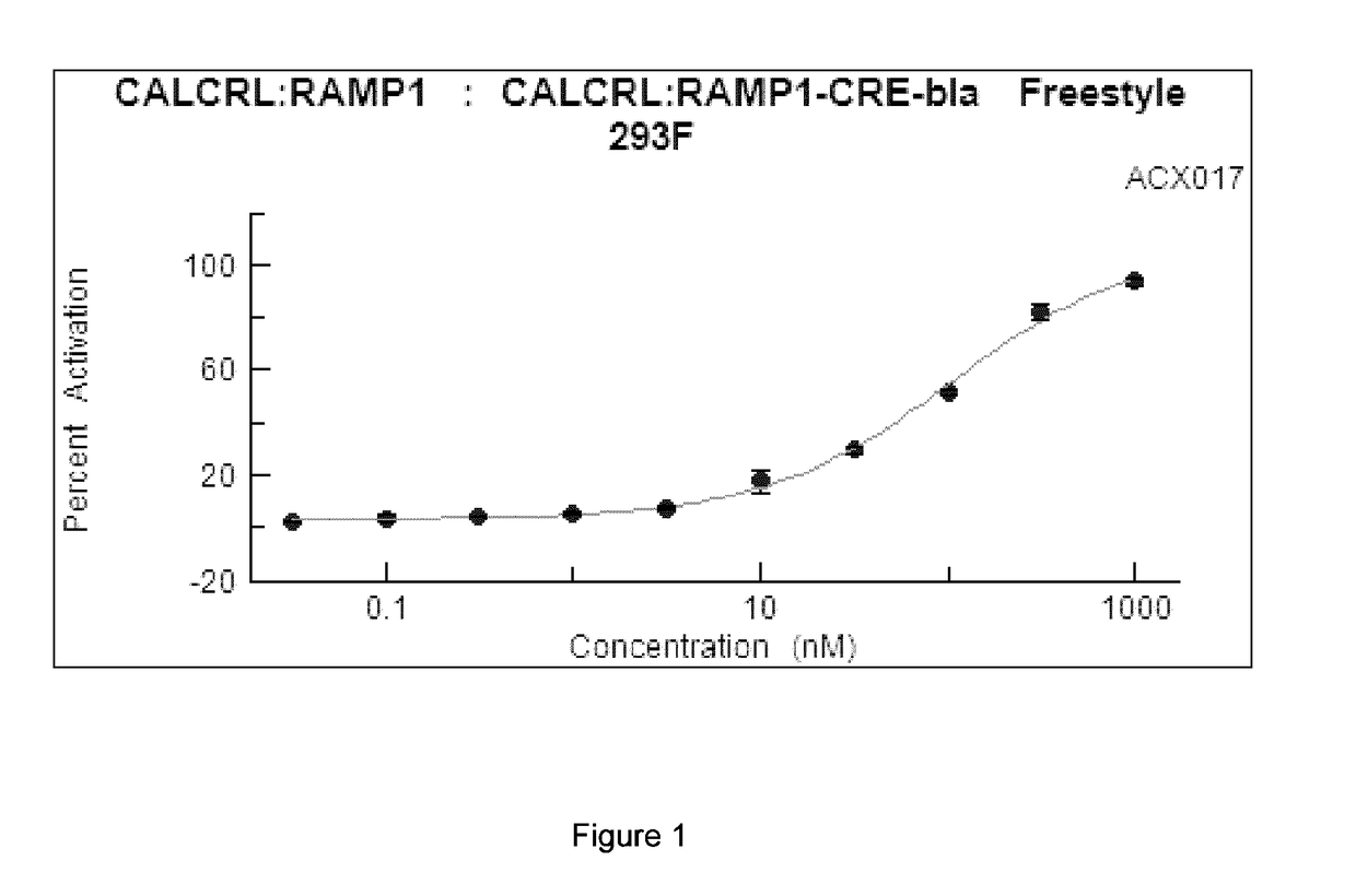 CGRP agonist peptides