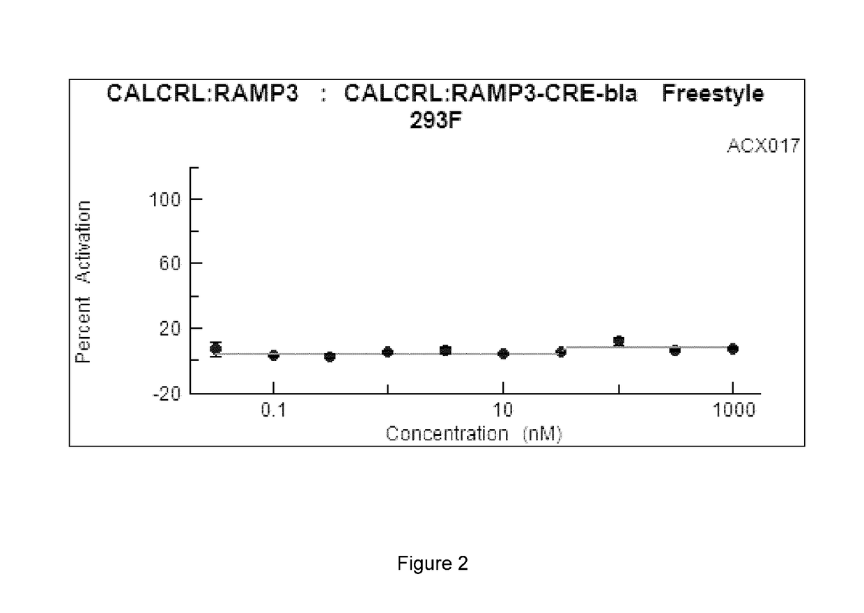 CGRP agonist peptides