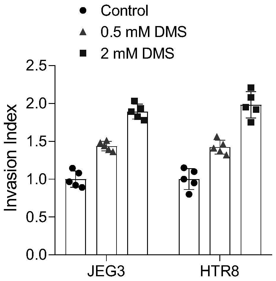 Application of succinic acid to diagnosis or treatment of spontaneous abortion