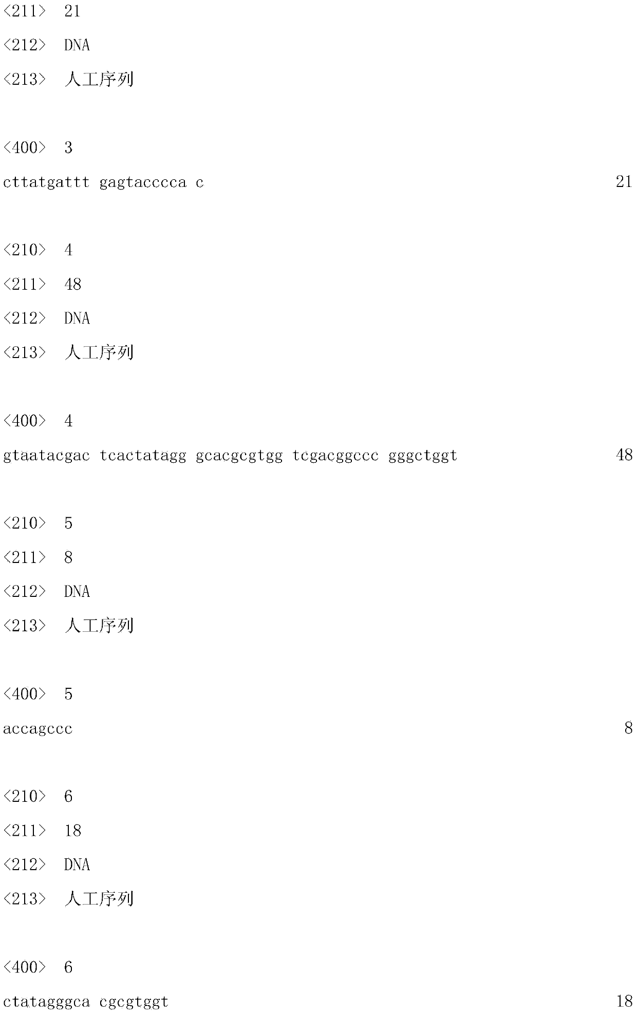 Primer pair, castanopsis hystrix SSR6 (Simple Sequence Repeat 6) marker and preparation method and application thereof