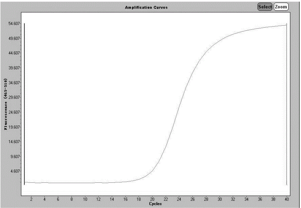 Primers and kit for detecting quinolone drug-resistance genes of bacteria