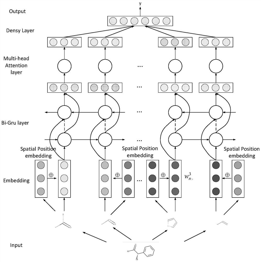 Molecular property prediction method based on molecular spatial position coding attention neural network model