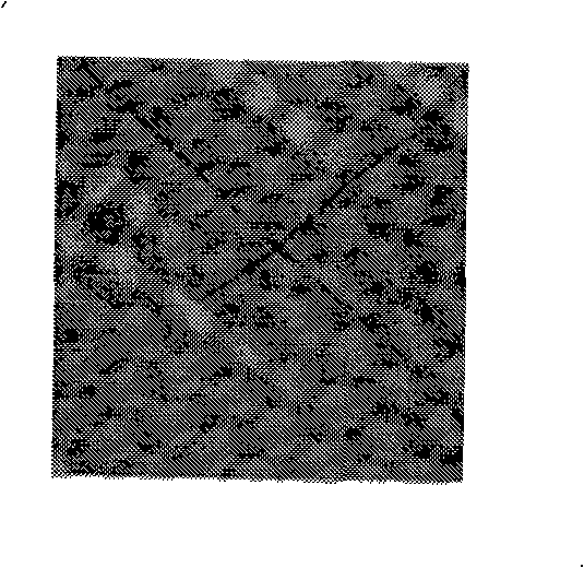Substrate optical detection method and apparatus