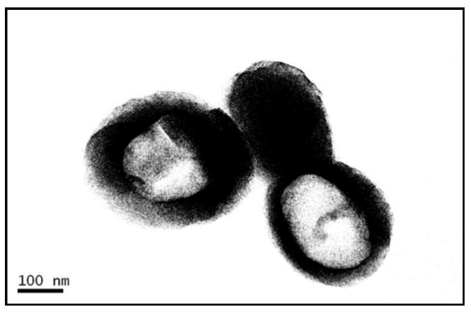 Preparation method of a multi-responsive polymer hollow microgel