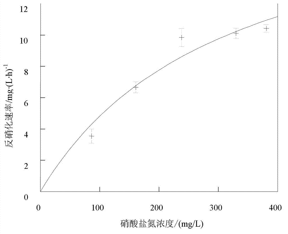 Denitrifying bacterium and application thereof