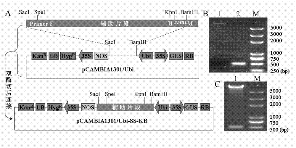 Method for remaking multiple cloning sites of known vector
