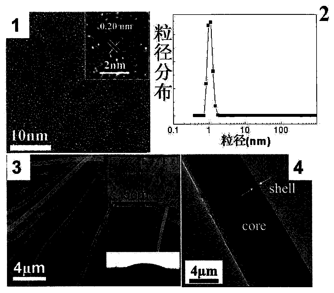 Preparation and application of mesoporous silica/polyacrylonitrile core-shell nanofiber membrane loaded with carbon quantum dots