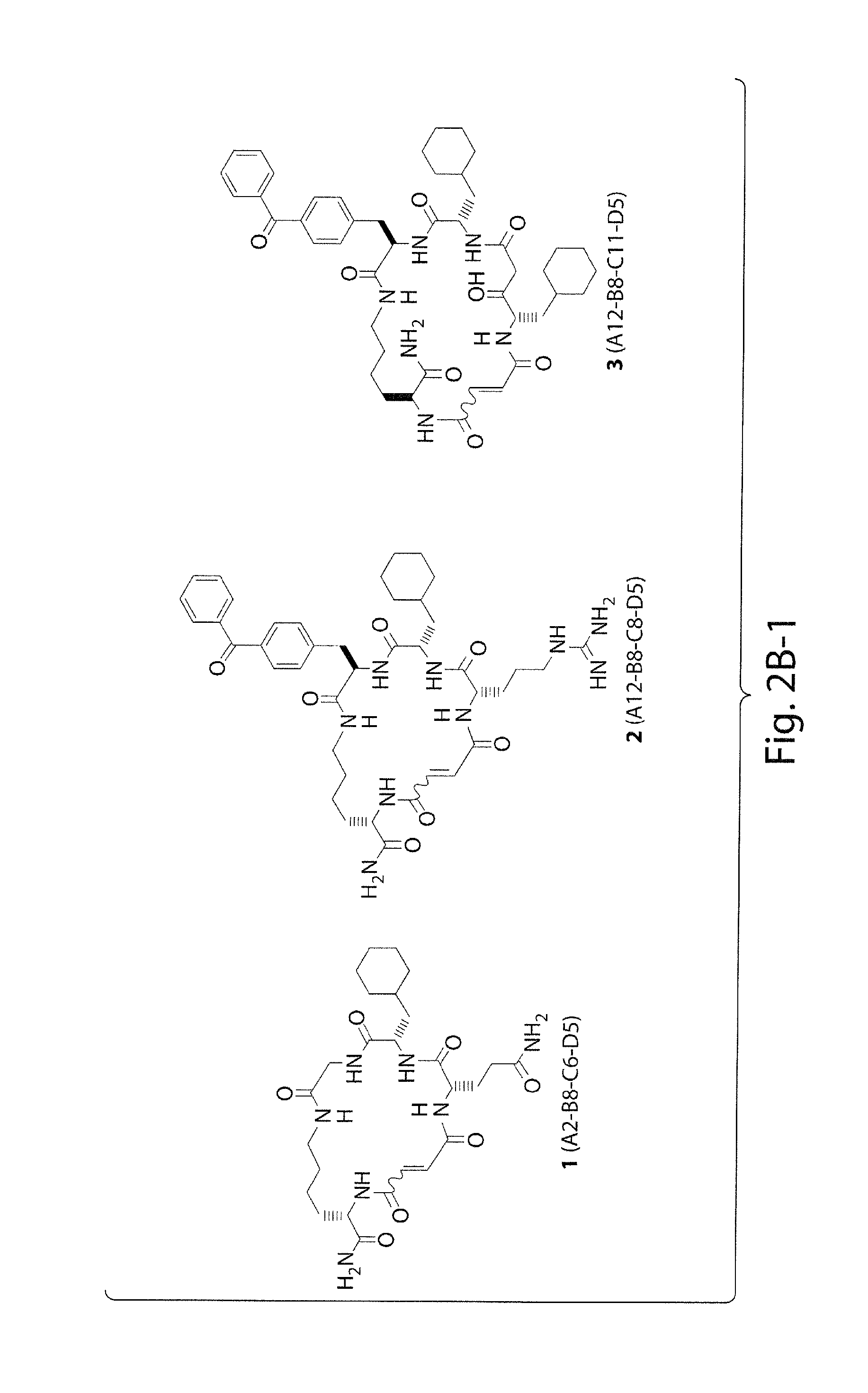 Macrocyclic insulin-degrading enzyme (IDE) inhibitors and uses thereof