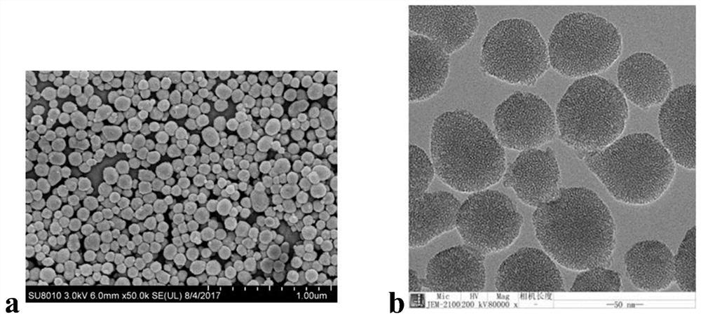 Sol systems, hydrogels and applications for the preparation of pH-sensitive dual network hydrogels