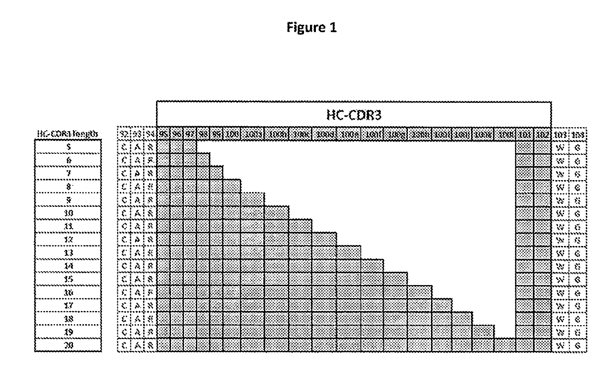 Hc-cdr3-only libraries with reduced combinatorial redundancy and optimized loop length distribution