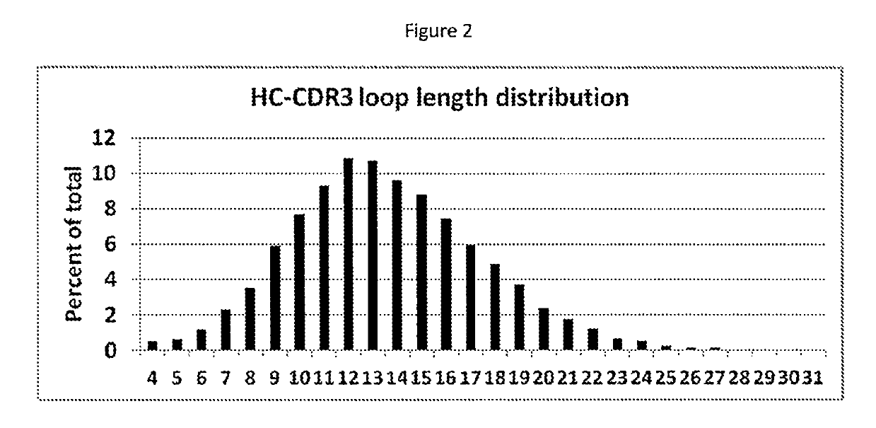 Hc-cdr3-only libraries with reduced combinatorial redundancy and optimized loop length distribution