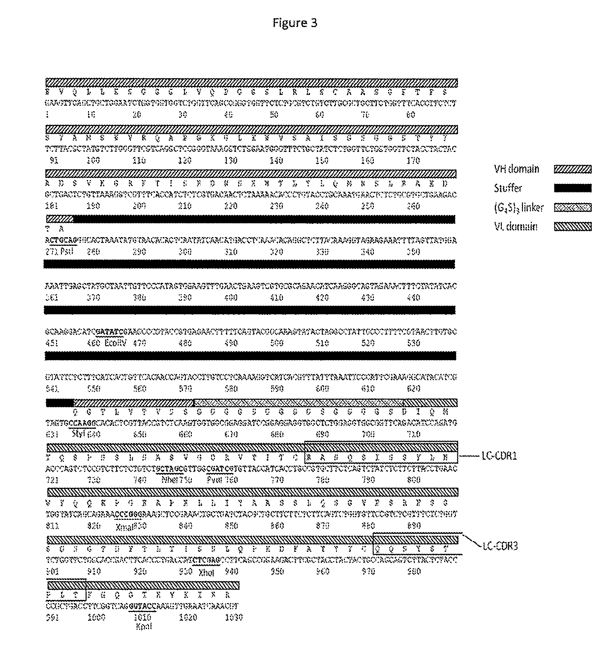 Hc-cdr3-only libraries with reduced combinatorial redundancy and optimized loop length distribution