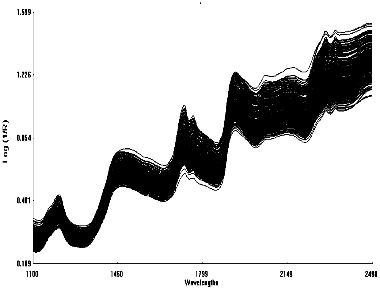 A method for rapid determination of tocopherol content in Brassica napus seeds using near-infrared spectroscopy