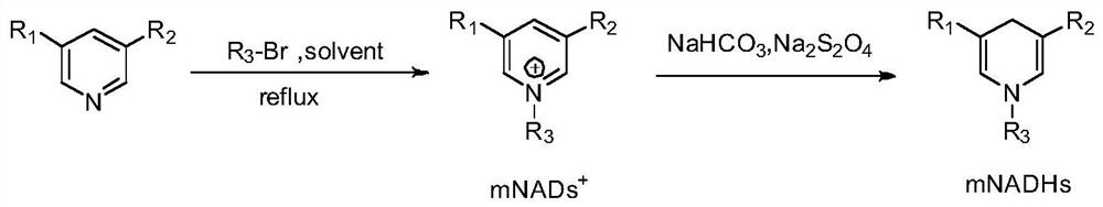 Method for degrading dibenzothiophene by artificial nicotinamide cofactor mediated enzyme method