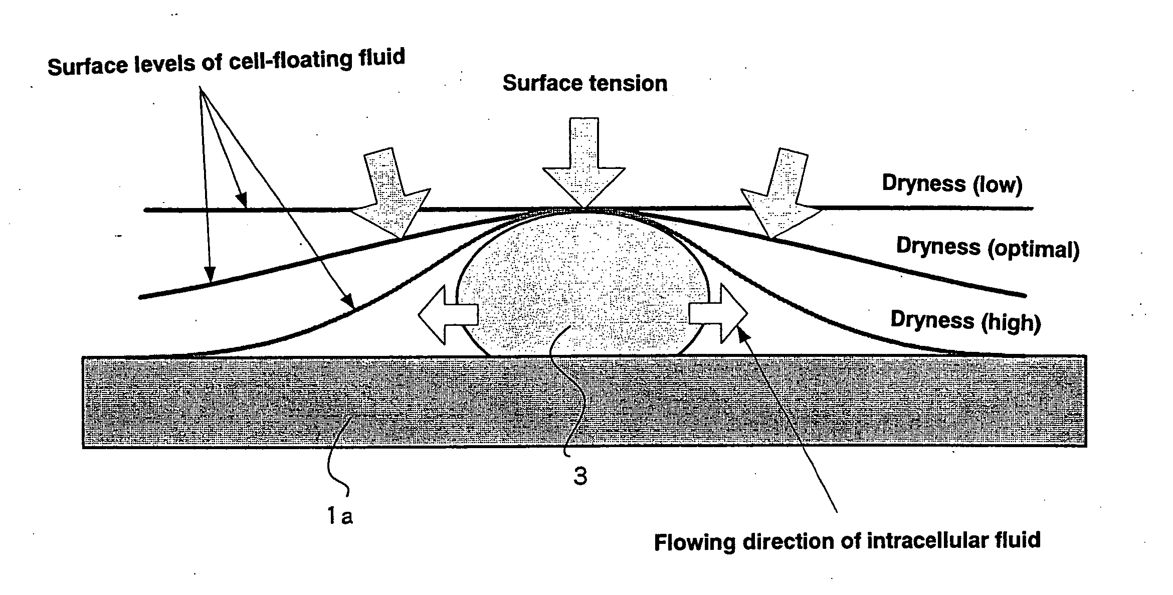 Method and device for preparing sample slide